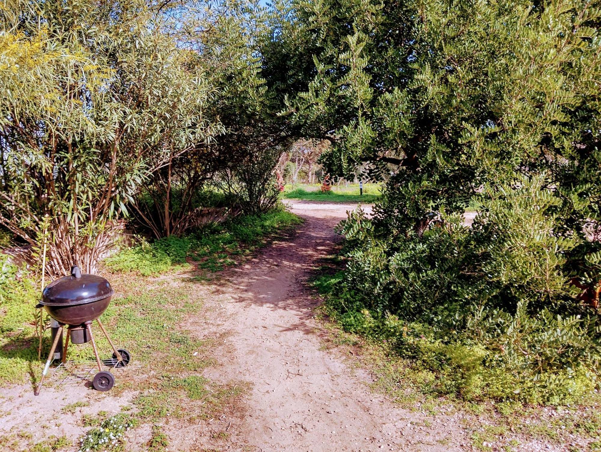 Apartament Terra Valledoria  Zewnętrze zdjęcie