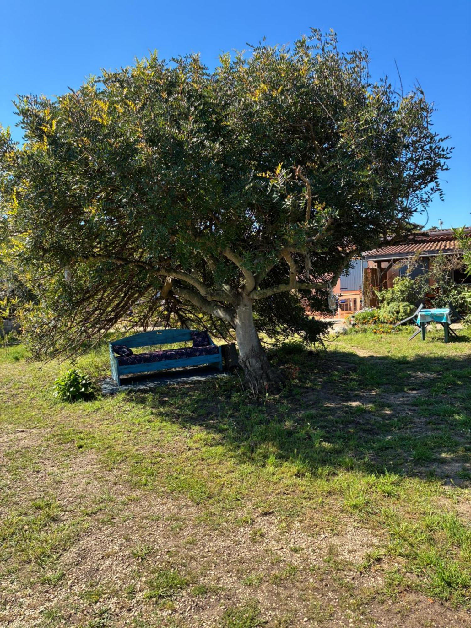 Apartament Terra Valledoria  Zewnętrze zdjęcie